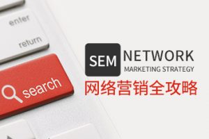 臧承云 SEM网络营销全攻略（22集）